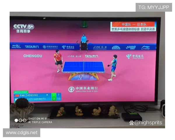 武汉乒乓球队在世锦赛中的比赛经验与表现分析