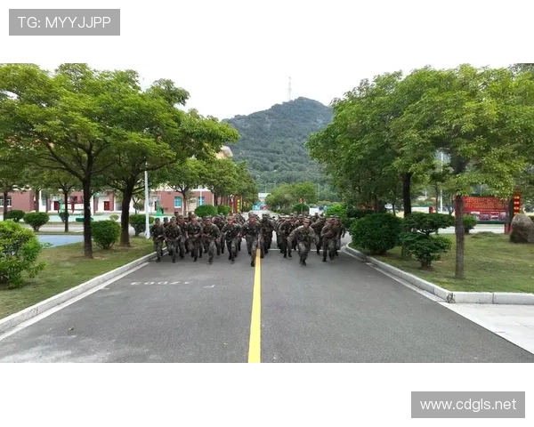 武汉排球队的蜕变之路：世锦赛背后的奋斗与希望